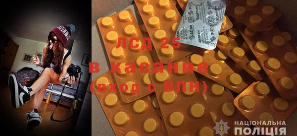 ГАЛЛЮЦИНОГЕННЫЕ ГРИБЫ Алексин